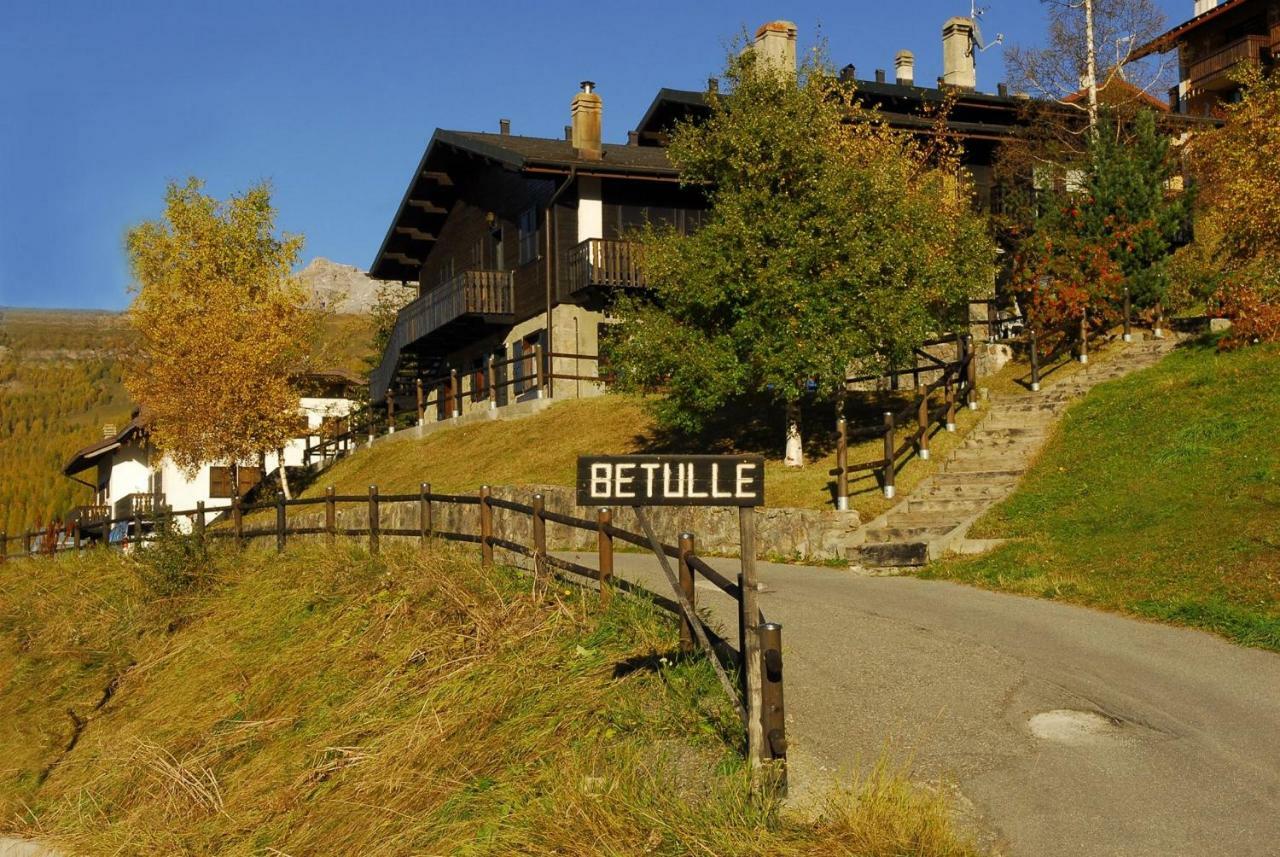 Betulla